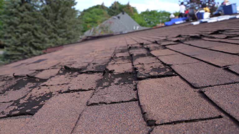 Best Cold Roofs  in Cooperstown, NY