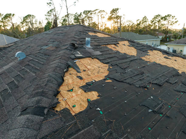 Best Green or Eco-Friendly Roofing Solutions  in Cooperstown, NY